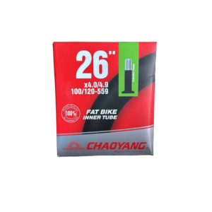 CÁMARA CHAOYANG 26X4.0/4.9 SV 33MM